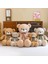 Oyuncak Ayı Papyon Giyinme Sevimli Sevimli Peluş Bebek Bebek Yastık Tatil Hediyesi (Yurt Dışından) 2