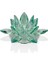 Seta Kristal Lotus Mumluk Yeşil 15157,5 cm 1