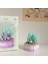 Aeonium Yapı Taşları Yaratıcı Montaj Oyuncakları (Yurt Dışından) 1