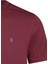 Bordo Regular Fit Bisiklet Yaka Pamuklu Basic Tişört 3