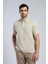 Rolan Erkek Polo Yaka T-Shirt Bej 2