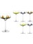 Yaprak Dek 6lı Dondurmalık 336ML P342.101333 1