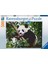Yapboz 16989 Panda Ayısı 500 Parça Yapboz 1
