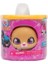 Qt Kitties Yavru Kedi 10809 Dina 2