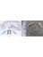 Tel Perde LED 3*3m 300 LED Gün Işığı 2