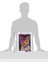 Puzzle 2000 Parça Abyssinian 2
