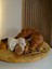 Badehome Decoration Doğal Bambu 360 Döner Sunumluk Stand 2