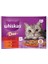 Duo Klasik Karma Lezzetler Pouch Yetişkin Konserve Kedi Maması 4 adet 85 gr 1