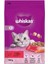 Biftekli ve Havuçlu Yetişkin Kedi Maması 300 gr 1
