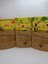 Balmumu Beeswax Saklama Bezi Çocuk Serisi Çok Renkli (30*30 Bez,30*30 Bez,30*30 Bez) 2