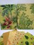 Balmumu Gıda Saklama Bezi (Beeswax Wraps)(35*30 Kese,35*30 Kese,30*30 Bez) 1