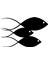 Autosticker^#balık Ailesi (Oto-Motor-Laptop-Duvar-Dekor) 20 x 12 cm 1