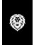 Autosticker^#aslan Tasarımlı Sticker (Oto-Motor-Laptop-Duvar-Dekor) 20 x 20 cm 3