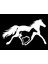 Autosticker^#at ve Yavrusu Tip 2 (Oto-Motor-Laptop-Duvar-Dekor) 30 x 18 cm 3