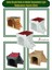 Beyaz Ahşap Kedi Yatağı 50x35 cm, Parlak Boyalı Merdivenli Tasarım 4