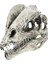 Reçine Dinozor Dilophosaurus Kafatası Öğ (Yurt Dışından) 1