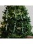 6x Noel Ağacı Şeker Kamışı Koltuk Değneği Dekorasyon Garland Yeşil Için Asılı Hediye Süsleme (Yurt Dışından) 5