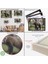 Çerçeveli Kırmızı Panda Dekoratif Kanvas TABLO-1140 5