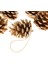 Noel Için 9x Asılı Dizeler Centerpieces (Yurt Dışından) 3