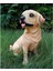 Labrador Figürleri Heykelleri Mini Reçine Zanaat Minyatür (Yurt Dışından) 4