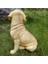 Labrador Figürleri Heykelleri Mini Reçine Zanaat Minyatür (Yurt Dışından) 5