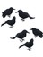 6x Simülasyon Cadılar Bayramı Crows Cadılar Bayramı Malzemeleri Için Raven Prop (Yurt Dışından) 2
