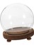 Fotoğraflar Için Dıy Madalya Dekorasyonu Üstü Dekorasyonu 18 cm (Yurt Dışından) 1
