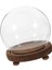 Fotoğraflar Için Dıy Madalya Dekorasyonu Üstü Dekorasyonu 18 cm (Yurt Dışından) 2