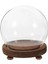 Fotoğraflar Için Dıy Madalya Dekorasyonu Üstü Dekorasyonu 18 cm (Yurt Dışından) 3