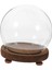 Fotoğraflar Için Dıy Madalya Dekorasyonu Üstü Dekorasyonu 18 cm (Yurt Dışından) 4