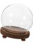 Fotoğraflar Için Dıy Madalya Dekorasyonu Üstü Dekorasyonu 18 cm (Yurt Dışından) 5