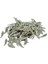 100 Charms Kolye Takı Için 17X5MM (Yurt Dışından) 4