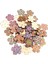 100 Ahş Ş Düğmeleri Dıy Craft Scrapbooking 1 (Yurt Dışından) 1