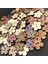 100 Ahş Ş Düğmeleri Dıy Craft Scrapbooking 1 (Yurt Dışından) 4