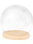Tabanlı Şeffaf Cam Cloche Dome Dollhouse Dekorasyon Cloche cm Ahşap Taban (Yurt Dışından) 1