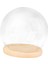 Tabanlı Şeffaf Cam Cloche Dome Dollhouse Dekorasyon Cloche cm Ahşap Taban (Yurt Dışından) 2