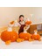 Balkabağı Ördek Peluş Oyuncak Bebek Yastık Bebek Tatil Hediyesi (Yurt Dışından) 2