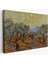 Vincent Willem Van Gogh - Zeytin Ağaçları Tablosu - Olive TREES-7184 1