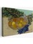 Vincent Van Gogh - Mavi Eldivenli Portakal ve Limonların Natürmortu TABLOSU-7188 1