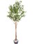 Yapay Zeytin Ağacı 1122 Yaprak Yeşil 160 Cm. 1