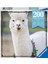 132706 200 Parçalı Puzzle Alpaka Lama 1