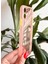 iPhone 11 Pro Max Simli Pembe Silikon Kılıf 2