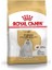 Maltese Terrier Adult Yetişkin Köpek Maması 1.5 kg 1