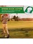 3 Adet Golf Putt Kupası Golf Deliği Eğitim Yardımları Golf Aksesuarları Plastik Bayraklı Golf Eğitim Puttları Yeşil + Beyaz (Yurt Dışından) 2