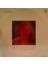 Nilüfer – Selam Söyle - Son Arzum Bu Albümde 1976 Baskı Lp 2