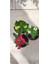 3' Lü Dikenler Tacı Çiçeği Euphorbia Milli Dikenler Tacı 10-20 cm 2
