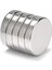 Yuvarlak Neodyum Mıknatıs Magnet - 15 mm Çap - 3 mm Kalınlık - 1 Adet - Deneyler Için 3