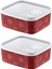 2'li Set No Frost Saklama Kabı Carmen 700 ml 1