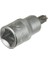 Lokmalı Allen Bits Uç Kısa - 10 mm (10 Adet) 1