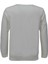 Erkek Spor Mevsimlik Sıfır Yaka Sweatshirt BGL-ST03934 2